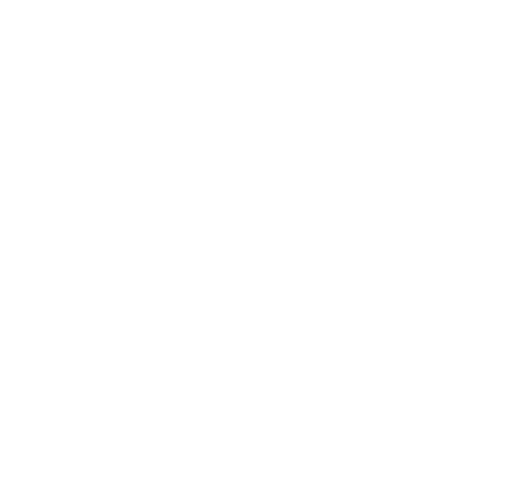 Kamz Inkzone